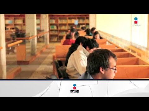 Universidad de Harvard apoya educación en México ¿quieres entrar? | Noticias con Francisco Zea