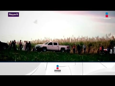 Otra fosa clandestina en México, esta vez en el estado de Nayarit | Noticias con Yuriria Sierra