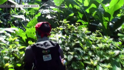 NHK Great Nature Vietnam s Hang Son Doong Cave