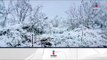 Seguirán las bajas temperaturas en el norte por el frente frío #20 | Noticias con Ciro