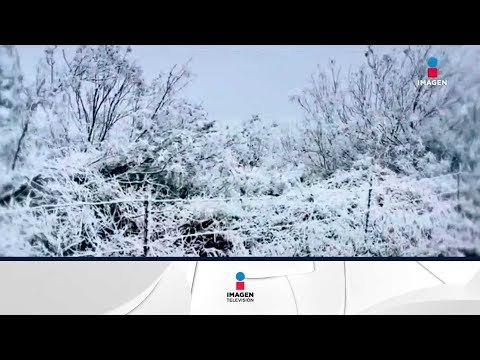 Seguirán las bajas temperaturas en el norte por el frente frío #20 | Noticias con Ciro