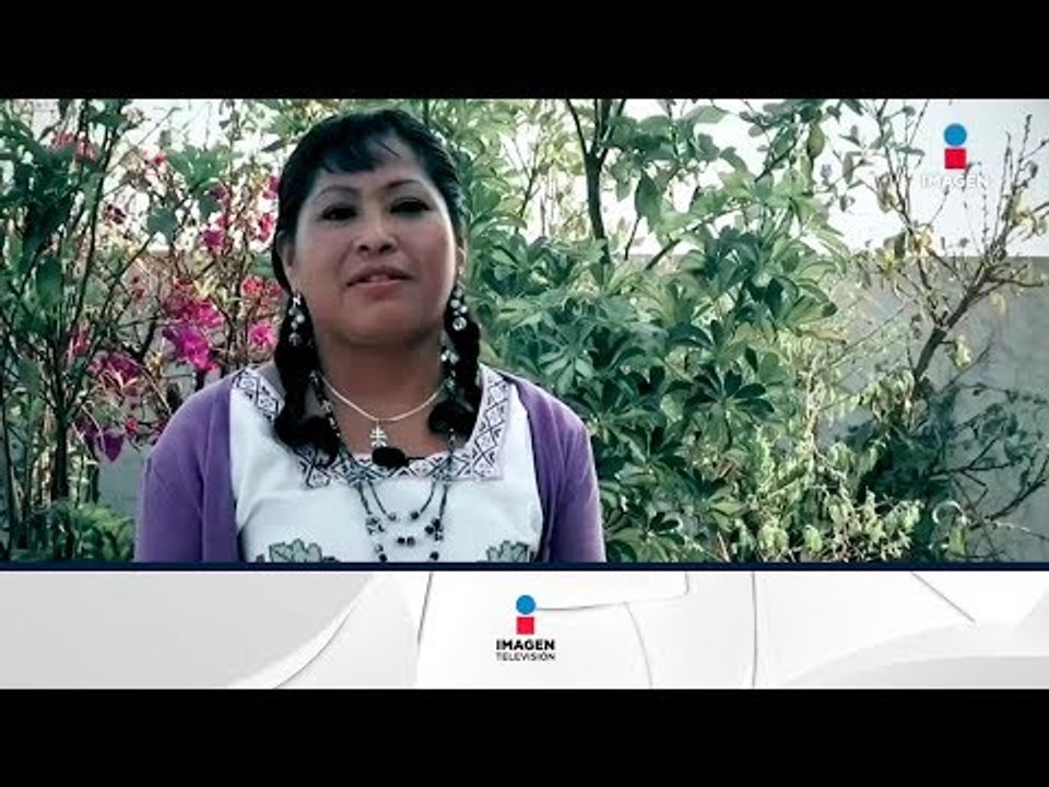 Gudelia de la Cruz, traductora e intérprete de lenguas indígenas | Noticias con Francisco Zea