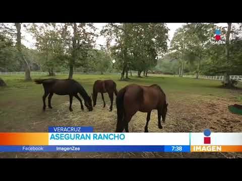 Aseguran rancho vinculado al exsecretario de Seguridad de Veracruz | Noticias con Francisco Zea
