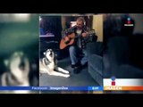 Perrito canta mientras el dueño toca a guitarra | Noticias con Francisco Zea