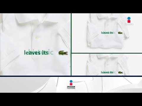 Lacoste cambia su logo para ayudar a especies en peligro de extinción | Noticias con Francisco Zea