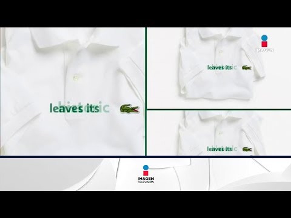 Lacoste cambia su logo para ayudar a especies en peligro de extinción | Noticias con Francisco Zea