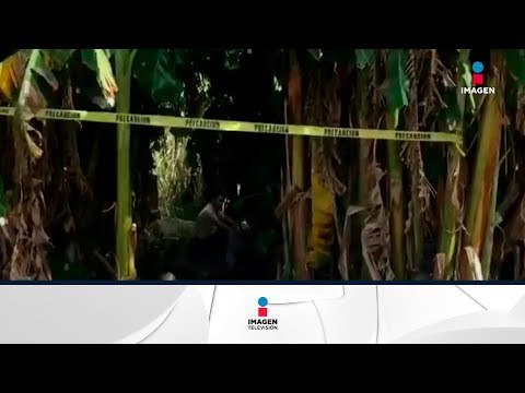 Suman 33 cuerpos localizados en fosas clandestinas en Nayarit | Noticias con Francisco Zea