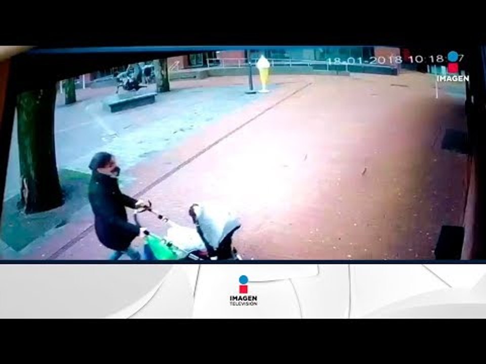 Madre y su bebé ¡Se salvan de milagro! tras la caída de un árbol | Noticias con Francisco Zea