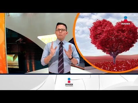 Estar enamorado... ¿Cómo nos beneficia? | Noticias con Francisco Zea