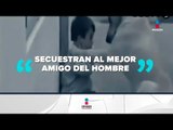 El secuestro de mascotas, una nueva modalidad de extorsión | Noticias con Francisco Zea