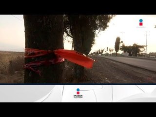 Investigarán a padres por violencia infantil | Noticias con Yuriria Sierra