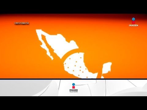 ¿Cuántos niños han sido recuperados por alerta Amber en México? | Noticias con Francisco Zea