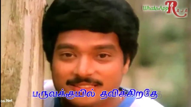 WhatsApp Ilaiyaraja Status - Naan Thedum Sevvanthi Poovithu - அழகான காதல் வரிகள்