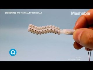 Nuevo robot para colonoscopias ¿dejarías que te lo metieran? | Qué Importa