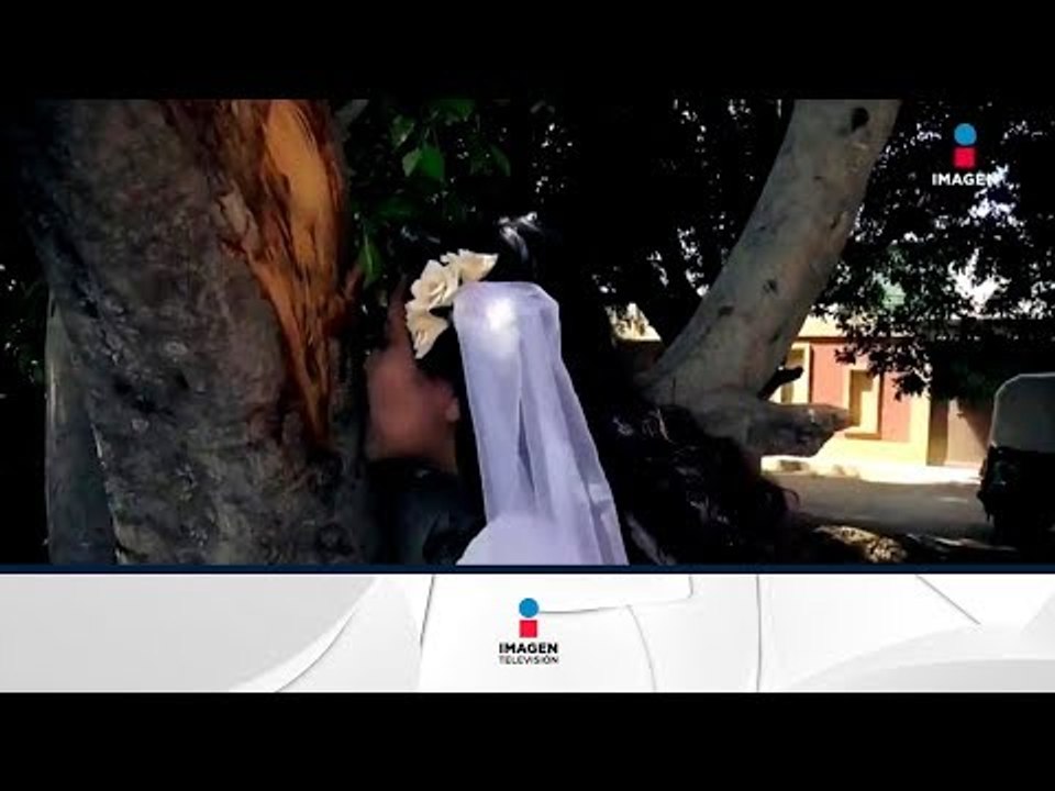 Celebran 20 bodas con árboles en Oaxaca | Noticias con Francisco Zea