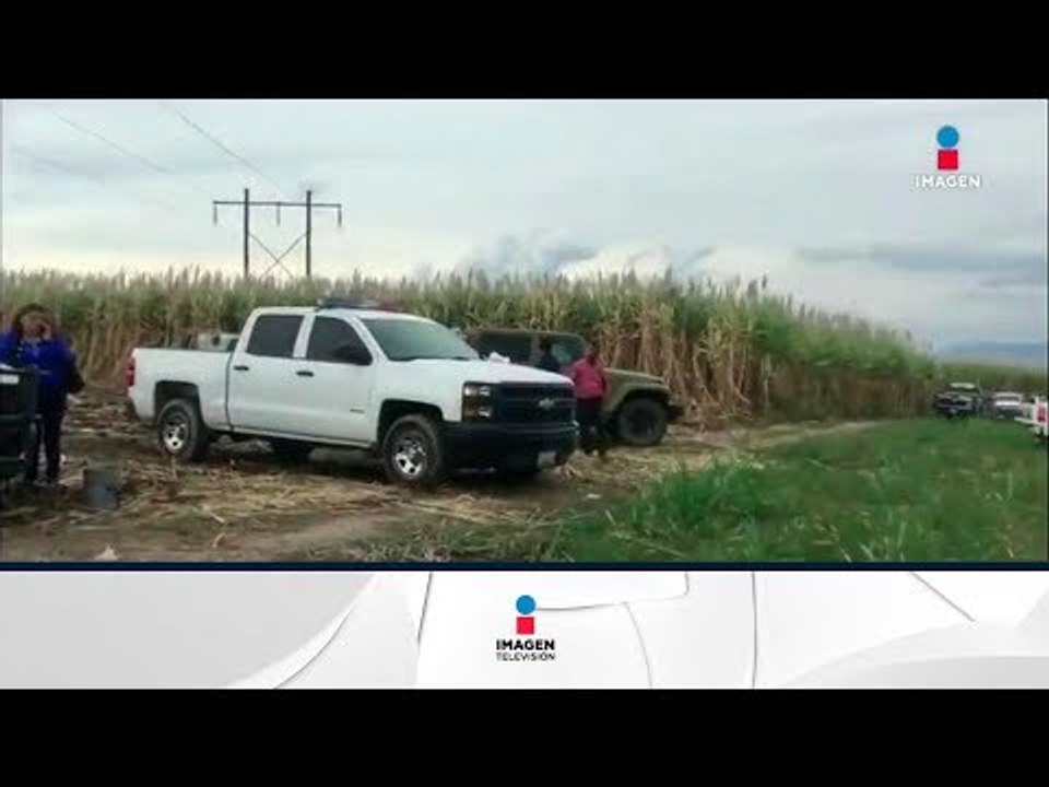 Encuentran ocho cuerpos en una fosa clandestina en Nayarit | Noticias con Ciro Gómez Leyva