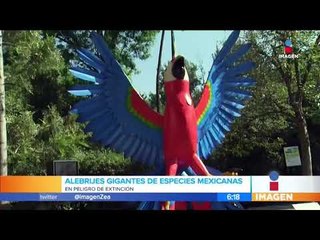 Скачать видео: Alebrijes monumentales de especies mexicanas en riesgo en Chapultepec | Noticias con Francisco Zea