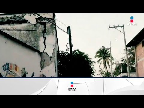 Producción de arroz en Morelos se encuentra en riesgo tras el sismo | Noticias con Francisco Zea