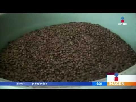 Los desvíos bajo la administración de Rosario Robles | Noticias con Francisco Zea