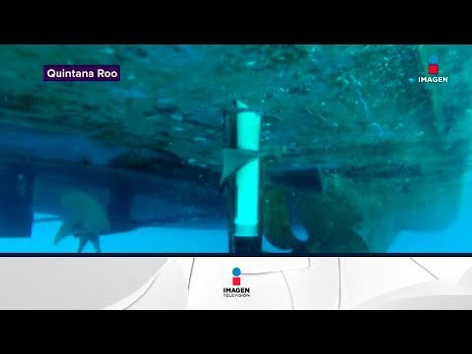 Investigan explosión de Ferry en Quintana Roo | Noticias con Yuriria Sierra