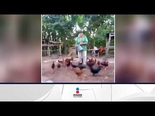 Encantador de gallinas muestra cómo las hace bailar | Qué Importa