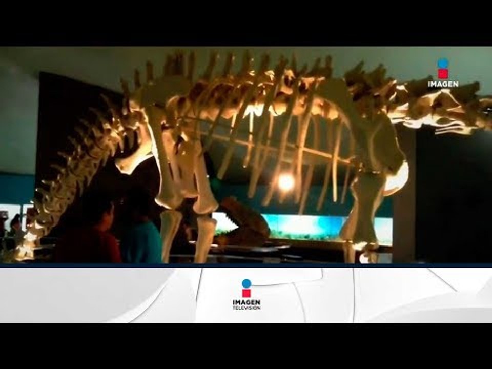¡Renuevan Museo de Historia Natural del Bosque de Chapultepec! | Noticias con Francisco Zea