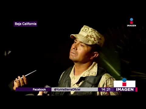 Destruyen plantíos de marihuana en Baja California | Noticias con Yuriria Sierra