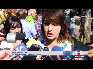 ¡Ya ubicaron al mono capuchino pero siguen sin poder capturarlo! | Noticias con Ciro Gómez Leyva