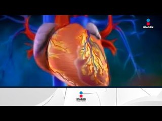 Distinguen a la Universidad de Monterrey con Banco de Tejidos Cardiovascular | Noticias con Paco Zea