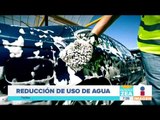 Crean productos orgánicos para lavar en seco | Noticias con Francisco Zea