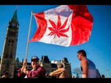 Canadá aprueba la legalización de la marihuana para uso recreativo | Noticias con Yuriria Sierra