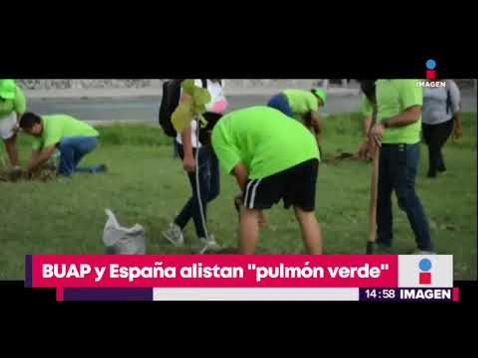 Qué es un "pulmón verde" y por qué le importa a España | Noticias con Yuriria Sierra