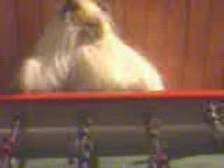 Les Inconnus - PUB - Kwiskas