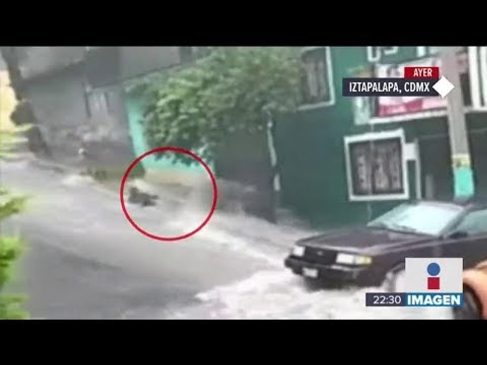 Niño muere ahogado al ser arrastrado por corriente de las lluvias | Noticias con Ciro Gómez Leyva