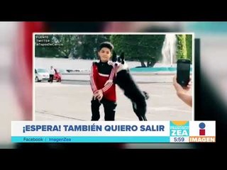 Este perrito se las arregló para salir en la foto | Noticias con Francisco Zea