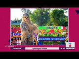 ¡Chewbacca se pasea en Xochimilco! | Noticias con Yuriria Sierra