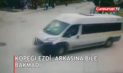 Köpeği ezdi, arkasına bile bakmadı