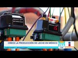 Crece la producción de leche en México | Noticias con Francisco Zea