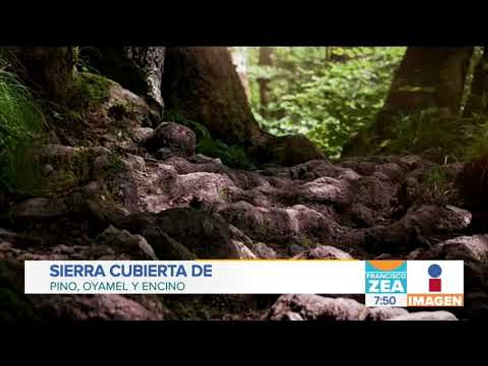 Increíble lugar para disfrutar el paisaje y la naturaleza en Michoacán | Noticias con Paco Zea