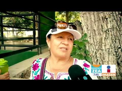 Conoce 5 razones para viajar a la Península de Yucatán | Noticias con Francisco Zea