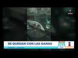 Rateros intentan asaltar autos, y conductores huyen | Noticias con Francisco Zea