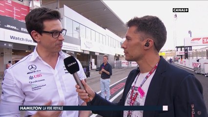 Toto Wolf serein mais prudent