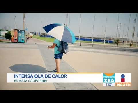 60 migrantes han muerto por la intensa ola de calor en Baja California | Noticias con Francisco Zea