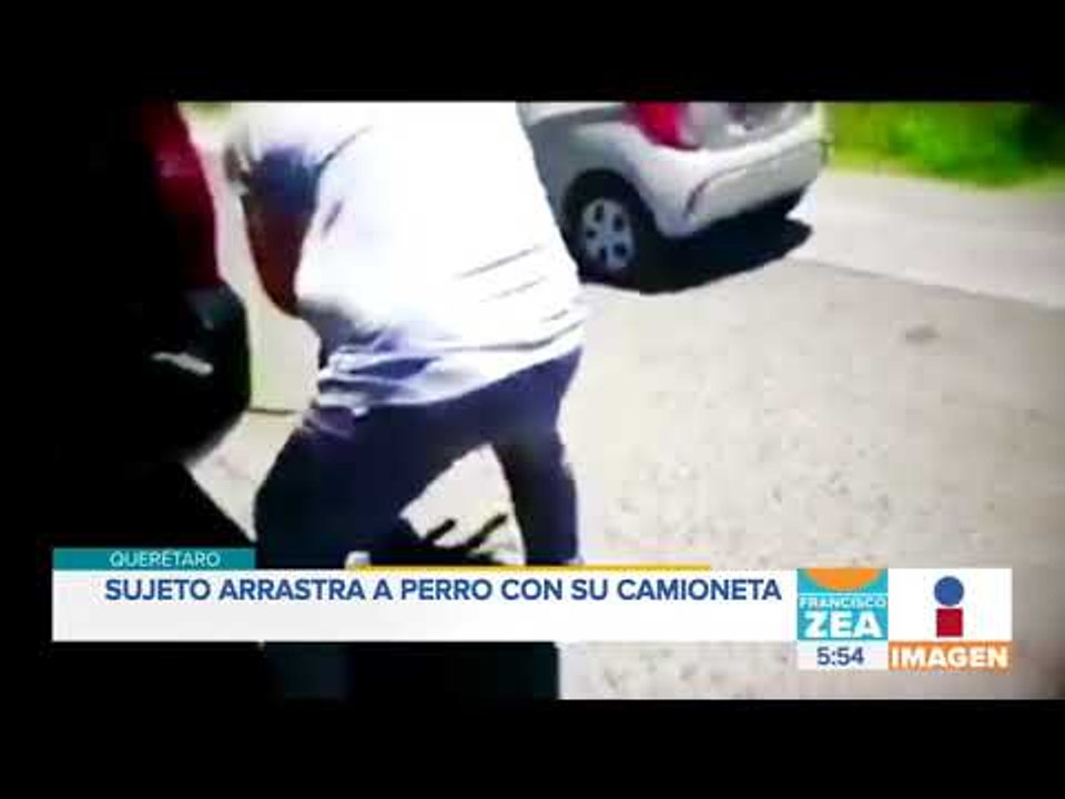 Amarran a perro a una camioneta y lo arrastran | Noticias con Francisco Zea