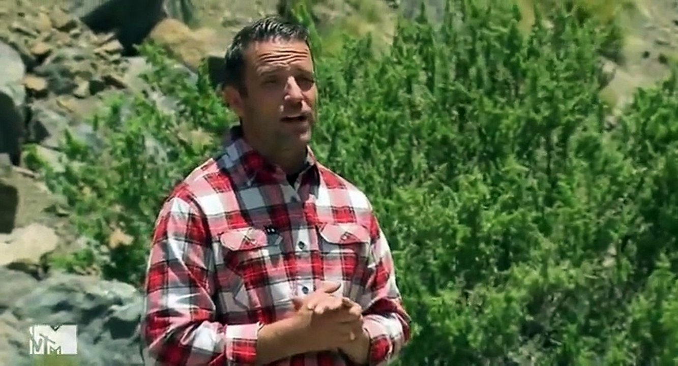 The Challenge S28 - Ep14 Split Decision HD Watch