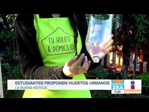 Conoce este prototipo de huerto vertical utilizando botellas de plástico | Noticias con Paco Zea