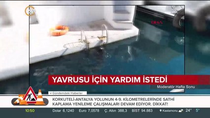 Yavrusu için yardım istedi