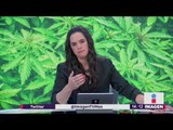 ¡Hallan marihuana plantada en Periférico! | Noticias con Yuriria Sierra