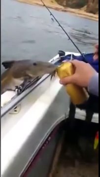 Ce poisson boit une bière à la canette au bord d'un bateau !
