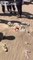 Squelette dans le désert, un homme retrouvé 2 ans après sa disparition